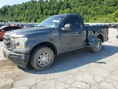 1FTMF1C85HFA31213 2017 FORD F-150
