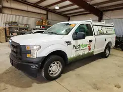 1FTMF1C86HKE46175 2017 FORD F-150