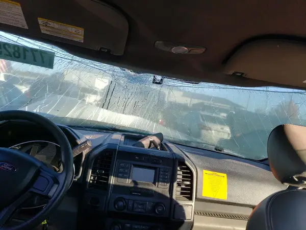 1FTMF1C8XGFD52985 2016 FORD F-150 - Image 8