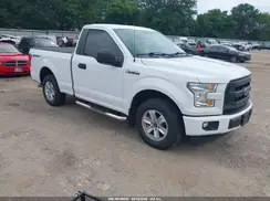 1FTMF1C8XHKD24306 2017 FORD F-150