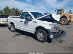 1FTMF1C8XHKD33300 2017 FORD F-150