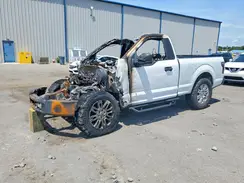 1FTMF1CB1KKF30617 2019 FORD F-150