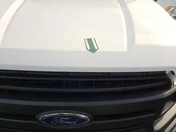 1FTMF1CB2KKF03619 2019 FORD F-150 - Image 8