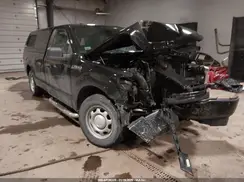 1FTMF1CB5KKD02832 2019 FORD F-150