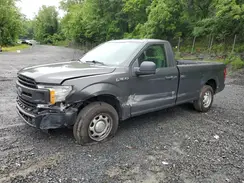 1FTMF1CB6KKC82803 2019 FORD F-150