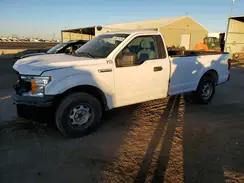 1FTMF1CB7KKD33788 2019 FORD F-150