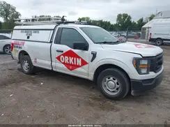 1FTMF1CB7PKD82657 2023 FORD F-150