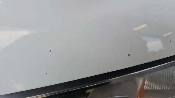 1FTMF1CB8KKD23030 2019 FORD F-150 - Image 1