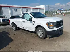 1FTMF1CB9PKE59996 2023 FORD F-150