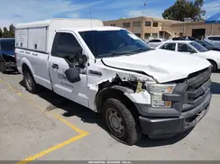 1FTMF1CF3GKD66698 2016 FORD F-150