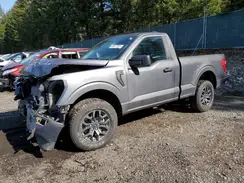 1FTMF1E59PKD87348 2023 FORD F-150