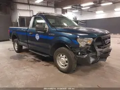 1FTMF1E83HKD76762 2017 FORD F-150