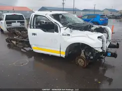 1FTMF1E85HKD36098 2017 FORD F-150