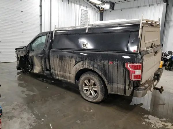 1FTMF1EB0KKD19745 2019 FORD F-150 - Image 2