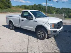 1FTMF1EB0KKD32317 2019 FORD F-150