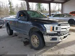 1FTMF1EB0KKF04197 2019 FORD F-150