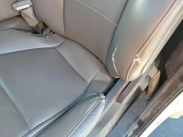 1FTMF1EB3KKD76909 2019 FORD F-150 - Image 1