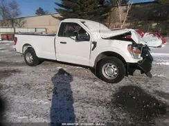 1FTMF1EB3MKE96938 2021 FORD F-150