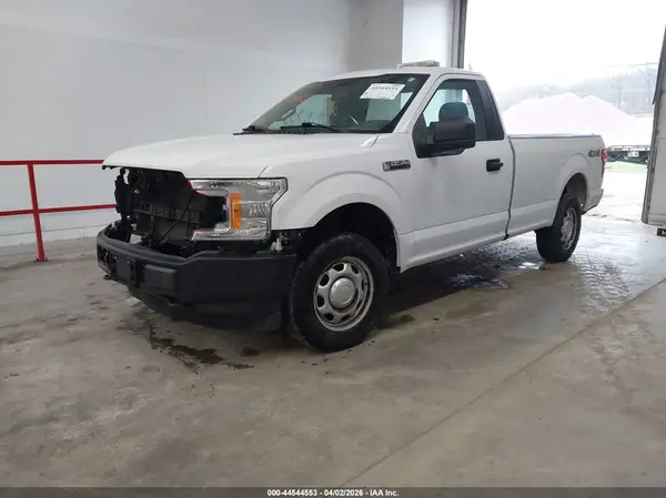 1FTMF1EB6KKD49798 2019 FORD F-150 - Image 2