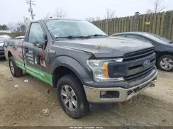 1FTMF1EB7KKD95124 2019 FORD F-150