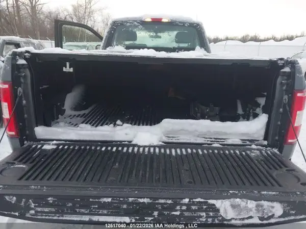 1FTMF1EB9KKD20067 2019 FORD F-150 - Image 8