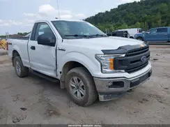 1FTMF1EBXKKC47050 2019 FORD F-150