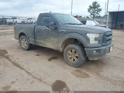 1FTMF1EFXGKF40246 2016 FORD F-150