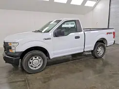 1FTMF1EFXHKD85750 2017 FORD F-150