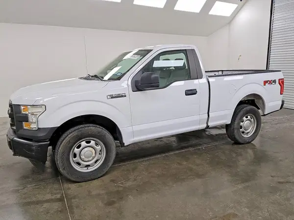 1FTMF1EFXHKD85750 2017 FORD F-150 - Image 1