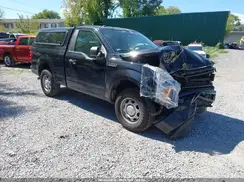 1FTMF1EP5KKE40363 2019 FORD F-150