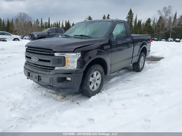 1FTMF1EP8KKC73030 2019 FORD F-150 - Image 2
