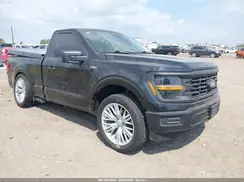 1FTMF1K53RKD35852 2024 FORD F-150