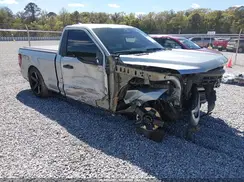 1FTMF1K55RKD31902 2024 FORD F-150