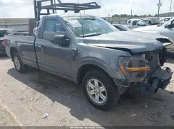 1FTMF1KP0RKE47817 2024 FORD F-150