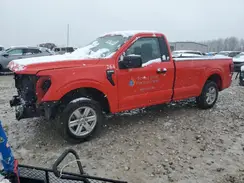 1FTMF1KP1RKD38203 2024 FORD F-150