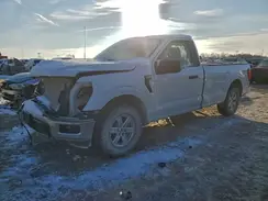1FTMF1KP1RKD64462 2024 FORD F-150