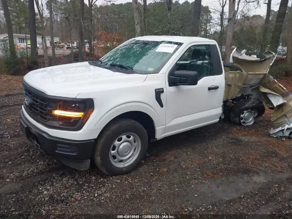 1FTMF1KP4RKF64736 2024 FORD F-150 - Image 2