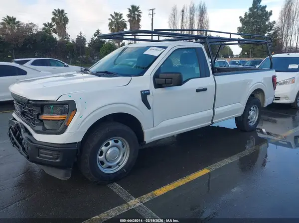 1FTMF1KP6RKE46428 2024 FORD F-150 - Image 2