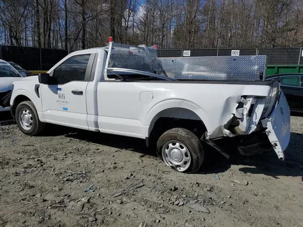 1FTMF1KP7RKE55980 2024 FORD F-150 - Image 2