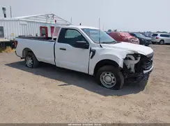1FTMF1KP8RKD96275 2024 FORD F-150