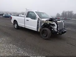 1FTMF1KP8RKD99368 2024 FORD F-150