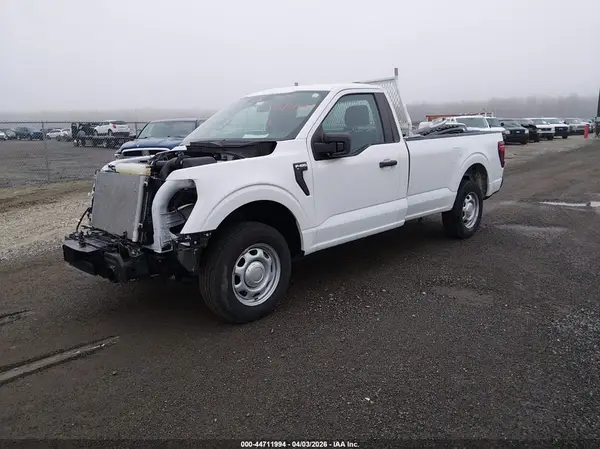 1FTMF1KP8RKD99368 2024 FORD F-150 - Image 2
