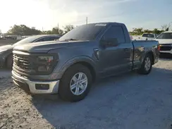 1FTMF1L50RKF21931 2024 FORD F-150