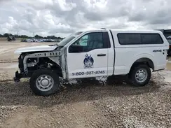 1FTMF1L51RKD94901 2024 FORD F-150