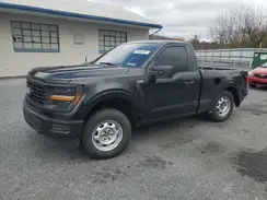 1FTMF1L53RKD46820 2024 FORD F-150