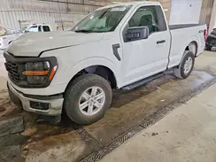 1FTMF1L55RKD05976 2024 FORD F-150