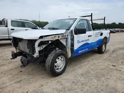 1FTMF1L5XRKD39413 2024 FORD F-150