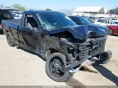 1FTMF1L5XRKD66062 2024 FORD F-150