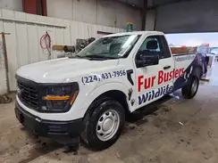 1FTMF1LP0RKD86015 2024 FORD F-150
