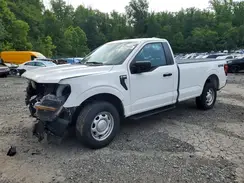 1FTMF1LP5RKD81599 2024 FORD F-150